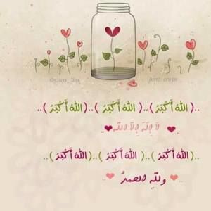 Meet your Posher, Abeer